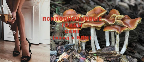 трава Верея