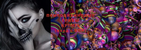трава Верея